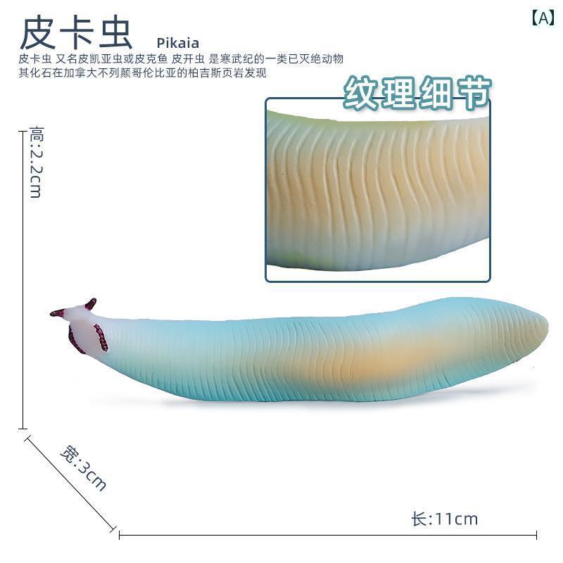 楽天ズボラ美模型 魚 教育 科学 おもちゃ 玩具 プラスチック 静的動物 男の子 海洋生物 コレクション 子供 ユニセックス 装飾品 海底