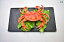 食品 サンプル リアル 見本 撮影 小道具 ディスプレイ 装飾品 フェイク 模擬 ザリガニ ロブスター カニ 甲殻類