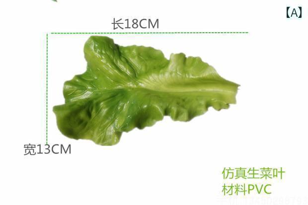 野菜 食品 サンプル リアル 見本 撮影 小道具 ディスプレイ 装飾品 フェイク 模擬 白菜 レタス 葉 シンプル 野菜 1