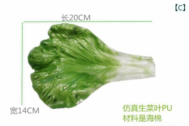 野菜 食品 サンプル リアル 見本 撮影 小道具 ディスプレイ 装飾品 フェイク 模擬 白菜 レタス 葉 シンプル 野菜 3