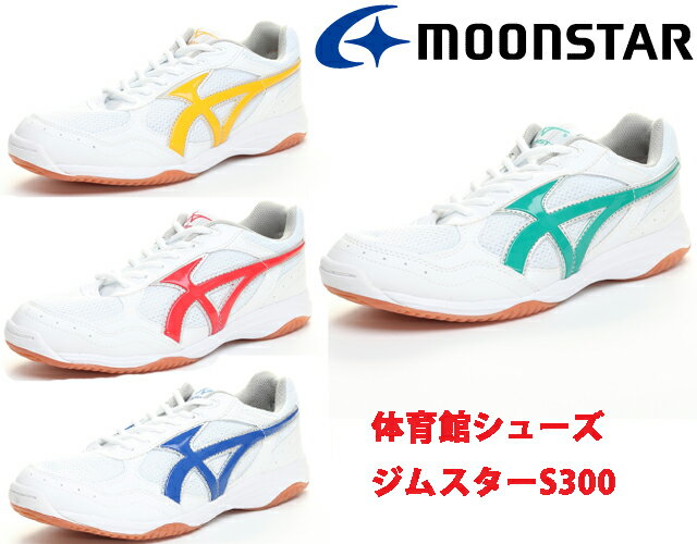 ࡼ󥹥ΰۥ塼ॹS300ع