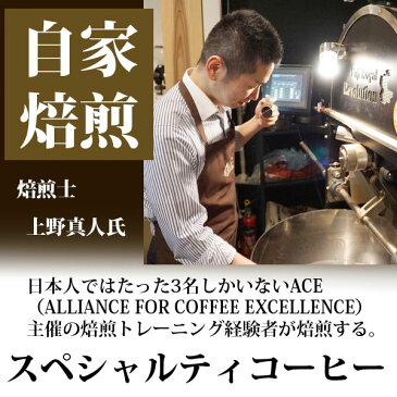 LANDMADE COFFEE直送 ギフト コーヒー専門店LANDMADE COFFEE LANDMADE COFFEE 定番コーヒーギフト プレゼント ギフト 贈り物 贈答品 お中元 お歳暮 もちはこび コーヒー ギフト ドリップ コーヒーカップ コーヒー豆 珈琲 珈琲豆 厳選 神戸 飲み比べ スペシャリティ