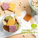 十二堂直送 おからクッキー おから 豆腐 豆乳 おやつ TENTWO-COOKIE 5種 おからクッキーアルミ 9個 セット 動物性材料不使用、保存料不使用 着色料不使用 ダイエットにもぴったり、新鮮なおから100年の老舗お豆腐屋さんの店主が考えた。 ダイエット 大容量 試せる 送料無料