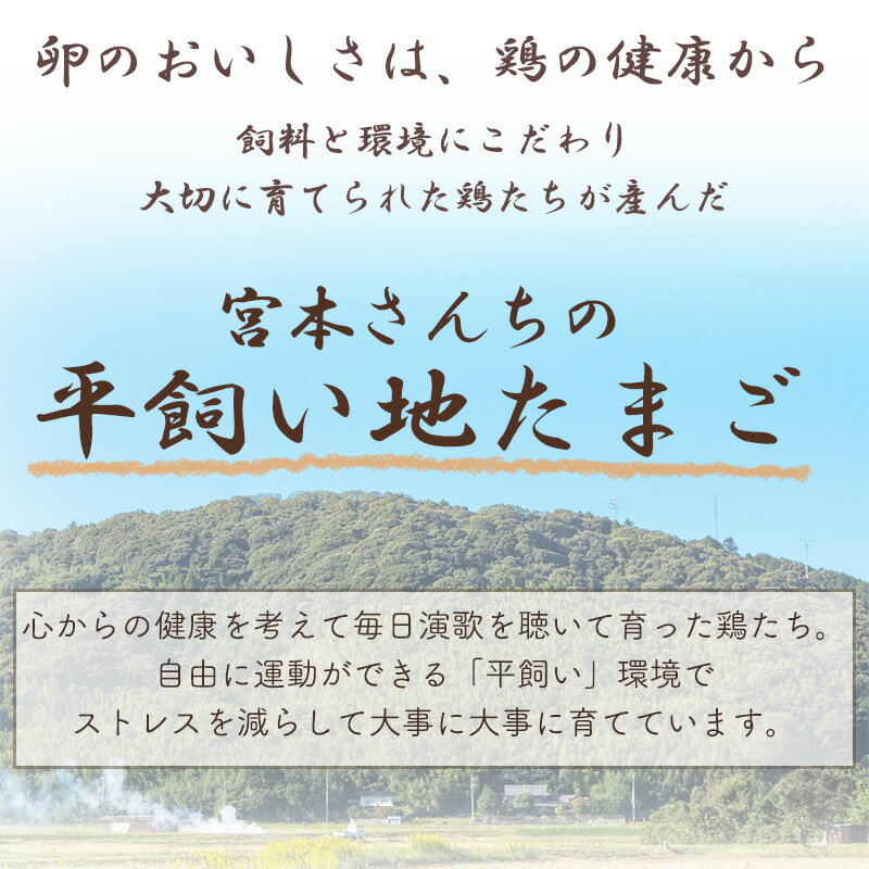 養鶏場直送 卵かけごはん専用 たまごかけごはん...の紹介画像2