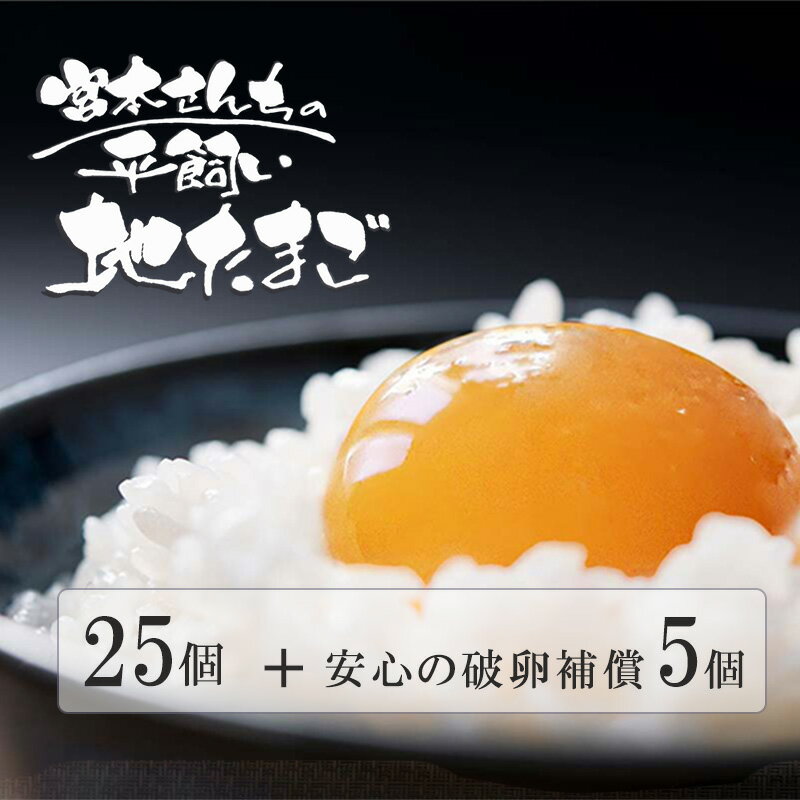 【お買い物マラソン期間限定ポイント2倍】養鶏場直送 卵 たまごかけごはん 朝採り 新鮮 卵 たまご 玉子 生卵 鶏卵 放し飼い 健康たまご もみがら入 箱売り 洋菓子店使用 みやもとさんちの平飼い地たまご25個 破卵補償プラス5個