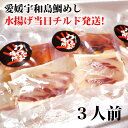 【漁港直送 チルド 宇和島鯛めし 3人前 お試し 送料無料 鮮度ばつぐん #鯛たべよう 伊達真鯛 新鮮 鮮度が命 高級卵かけごはん ケンミンショー 鯛飯 真鯛 ...