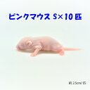 冷凍ピンクマウス Sサイズ(10匹)約2.5cm/匹 ★富城 冷凍マウス 冷凍餌 冷凍 ネズミ 餌 冷凍ネズミ エサ エサ 猛禽類 爬虫類 両生類 大型魚の肉食ペット用 クール便発送★商品レビューを書いて次回使える5％OFFクーポンプレゼント★