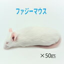 冷凍ファジーマウス (50匹)約5.5cm/匹 冷凍マウス 冷凍 ネズミ 餌 冷凍ネズミ エサ ホワイトマウス 冷凍餌 エサ 猛禽類 爬虫類 両生類 大型魚の肉食ペット用 クール便発送