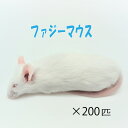 冷凍ファジーマウス (200匹)約5.5cm/匹 ★富城 冷凍マウス 冷凍 ネズミ 餌 冷凍ネズミ エサ ホワイトマウス 冷凍餌 エサ 猛禽類 爬虫類 両生類 大型魚の肉食ペット用 クール便発送