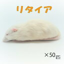 冷凍リタイアマウス (50匹)約10.0cm/匹 ★富城 冷凍マウス 冷凍 ネズミ 餌 冷凍ネズミ エサ リタイア マウス ホワイトマウス 冷凍餌 エサ 猛禽類 爬虫類 両生類 大型魚の肉食ペット用 クール便発送