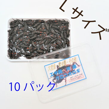 冷凍黒コオロギ Lサイズ(約2.5cm/80匹)1パック 冷凍餌 国産 ペット用品 黒コオロギ 蟋蟀 小動物、爬虫類、大型熱帯魚用 10パック