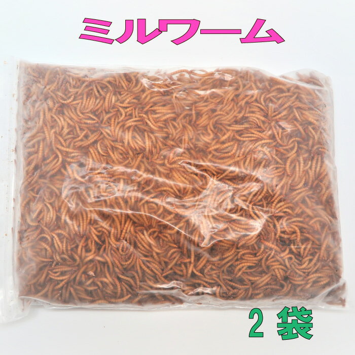 冷凍ミルワーム 1kg×2袋