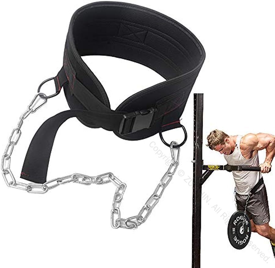 ディプスベルト ディッピングベルト トレーニングベルト 筋トレ 自重トレーニング 耐久性抜群 付け心地..