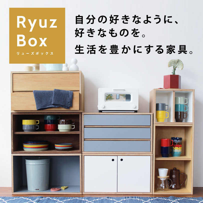 【大型送料】Ryuzbox Type 1 収納ボックス 木製 組み合わせ 棚付き カラーボックス 引出し ユニット ウォールナット キャビネット 扉付き 書棚 TVボード ラック シェルフ 組み換え