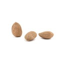 Almond Erasers アーモンドイレーサー 消しゴム 文房具 筆記用具 プレゼント ギフト 贈り物