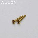 【マラソン限定ポイント2倍】ALLOY 真鍮 取り付けネジ / 25mm(単品)建築金物 真鍮ねじ ブラスねじ トラス小ねじ M4 ばら売り