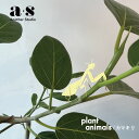 【マラソン期間ポイント2倍】Another Studio plant animals / カマキリ アナザースタジオ プラントアニマル オーナメント グリーンオ...