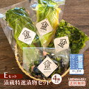 漬物 Eセット 4種盛り【送料無料】ギフト 御歳暮 お歳暮 40代 50代 60代 70代 80代 プレゼント おつまみ 漬け物 国産 おつけもの お取り寄せ ...
