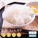 <新米>白米 令和6年産 鳥取県 コシヒカリ 3kg 5kg 6kg 10kg 無洗米 鳥取県産 送料無料 お歳暮 御歳暮 国産 ギフト お土産 お取り寄せ 銘...