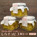 オイル漬 しらチョビ 3個セット 国