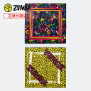 ZUMBA ズンバ 正規品 バンダナ 2枚組 イラスト エクササイズ フィットネス ジム スポーツ ダンス ヨガ ウェア ズンバウェア マルチカラー F2