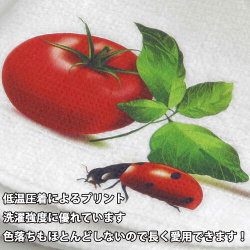 【即納可能】1個から作れる自分でデザインオリジナルキャップ(帽子)マルーン×ホワイト