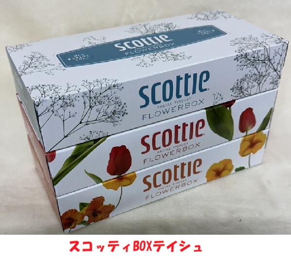 新生活　応援セット E［送料込み］一人暮らし 引っ越し まとめ売り 　必需品 日用品セット zutto-10001814 ZUTTO 1 サンプル画像2