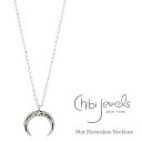 【再入荷】≪chibi jewels≫ チビジュエルズ星スター 馬蹄 ホースシューモチーフ サークル アンティーク加工 シルバーネックレス Star Horseshoe Silver Necklace (Silver) レディース