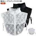 レース 可愛い レイヤード ブラウス付け襟 送料無料 スタンドカラー レディース 個性的 付け衿 レースつけ襟 お洒落 付け襟 キレイめ 重ね着 送料無料 レデ...