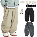 パンツ スノーウェア スキーパンツ レディース 薄手 スノーボードウェア ボトムス スキーウェア 防風 メンズ おしゃれ 単品 スノボウェア 春 秋 カーゴパン...