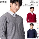 長袖 メンズ シンプル 春 Vネック ビジネス 薄手 秋冬 プレゼント ニット トップス カットソー 無地 グレー 暖かい 防寒 洗える 父の日 ギフト ニット...