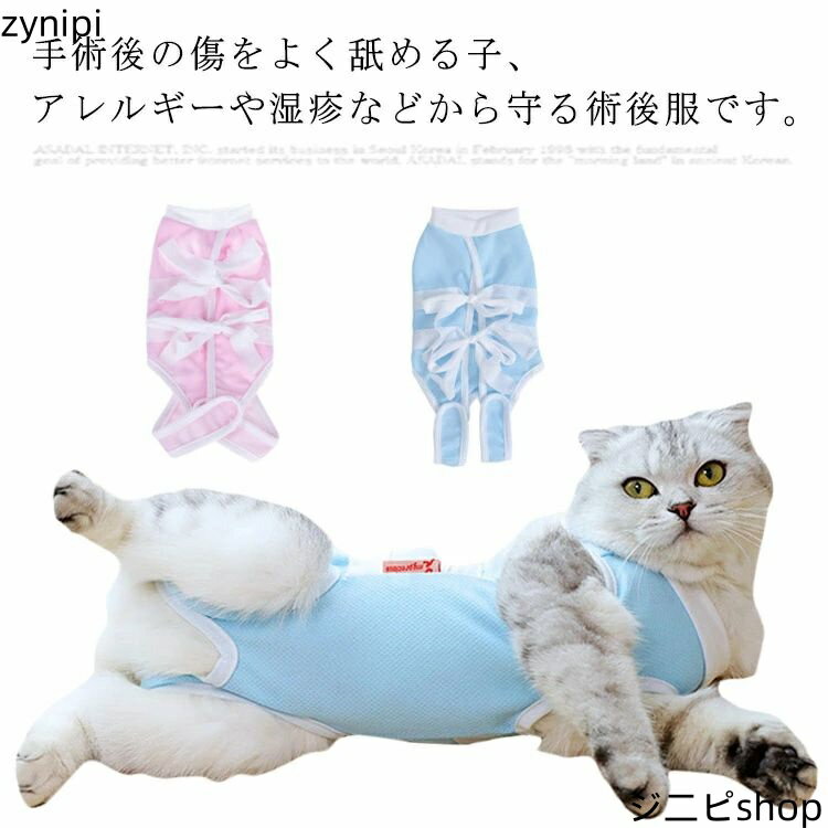 Ѹ ǭ Ѹ奦 Ѹ ͺ ڥåȲ ̵ 餫 ݸ Ӥ ȥ饤 ǥ ߤɻ  Υ ֥...