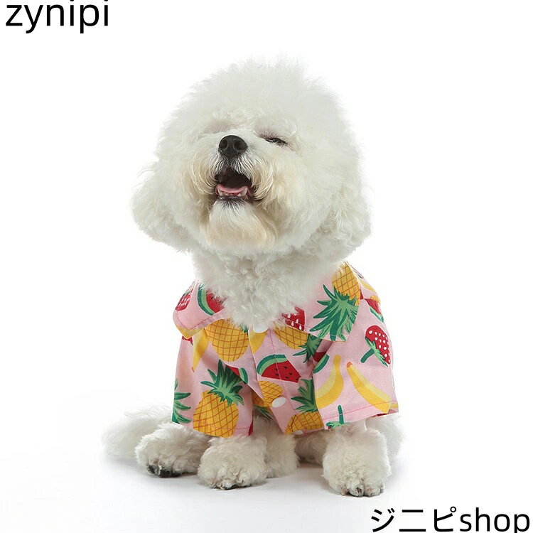 ヘアウィッグ　ウィッグ　おしゃれ プリンセス カット 前髪 付き ウィッグ ピース レディース ナチュラル シームレス ジ ヘア 和風 つけ 二 次元