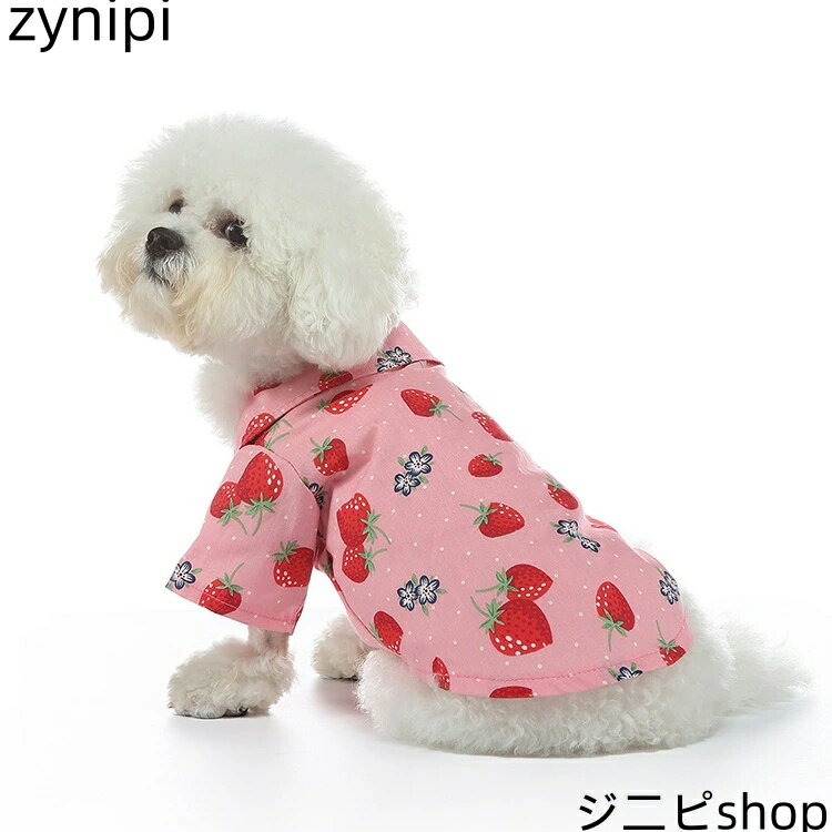 ヘアウィッグ　ウィッグ　おしゃれ プリンセス カット 前髪 付き ウィッグ ピース レディース ナチュラル シームレス ジ ヘア 和風 つけ 二 次元