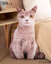 やわらかい ねこのぬいぐるみ 50/75CM キャット 3D 癒し系 幼児 子供 大人 猫 自然な かわいい 誕生日 プレゼント お祝い 自分へのご褒美(4色選...