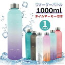 ウォーターボトル 水筒 1000ml 1リットル 軽量 タイムマーカー付き 透明 水筒 ミント モチベーション測定 時間と量付き BPAフリーのつや消しプラスチ...