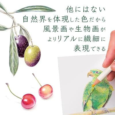 鉛筆 色鉛筆 色辞典 単色 CI-RV2-6P 蜜柑色 6本 zzap-10026401 ZZAP サンプル画像3