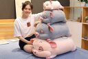 可愛い抱き枕 ブタちゃん ぬいぐるみ 50cm(3)