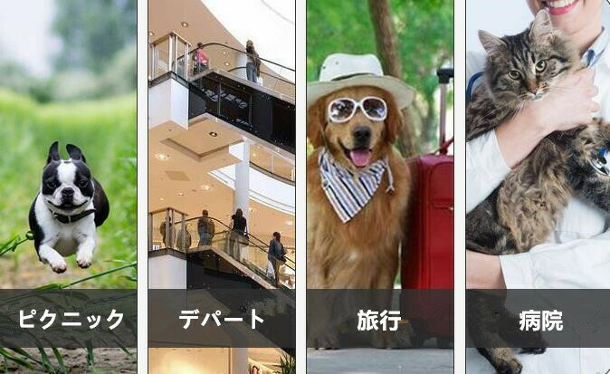 ペットキャリーバッグ小型ペットバッグSサイズ