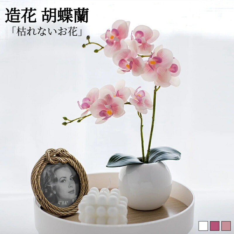 ߥ黨߲㤨֥ߥ˥ ĳ ¤  ˤ ȥե ȭ ץ쥼 Ź ˤ  ơ֥륵 ѥ   Ϸ ʪäפβǤʤ2,121ߤˤʤޤ