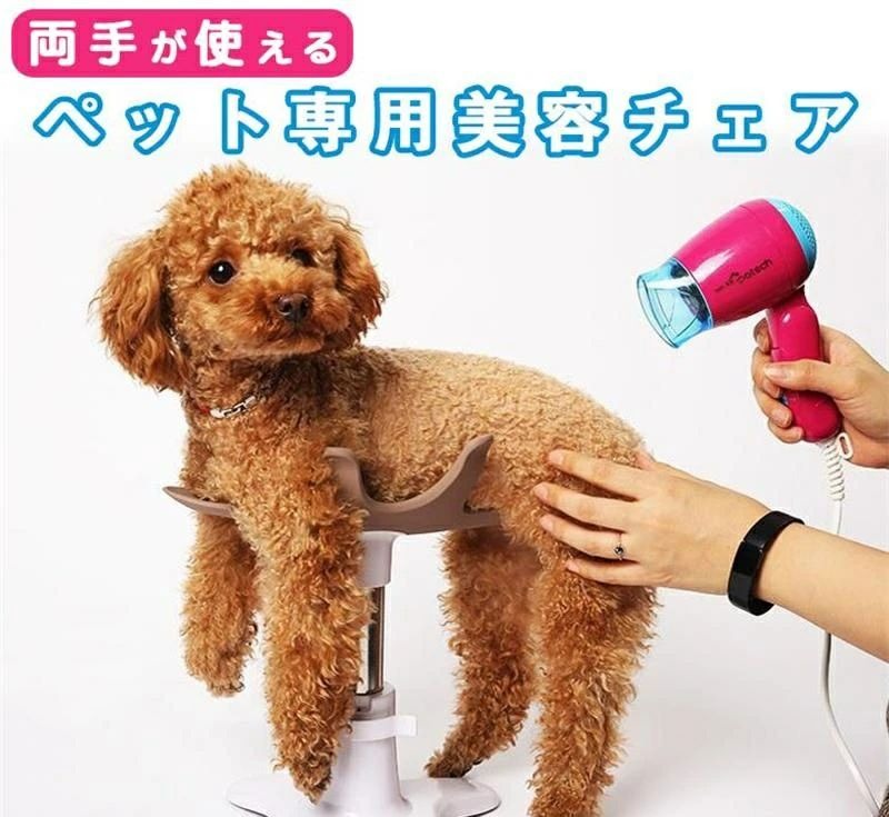 小型犬 美容チェア ペット 犬 いぬ イヌ 爪切り 爪きり つめきり つめ切り シャンプー台 ドライヤー