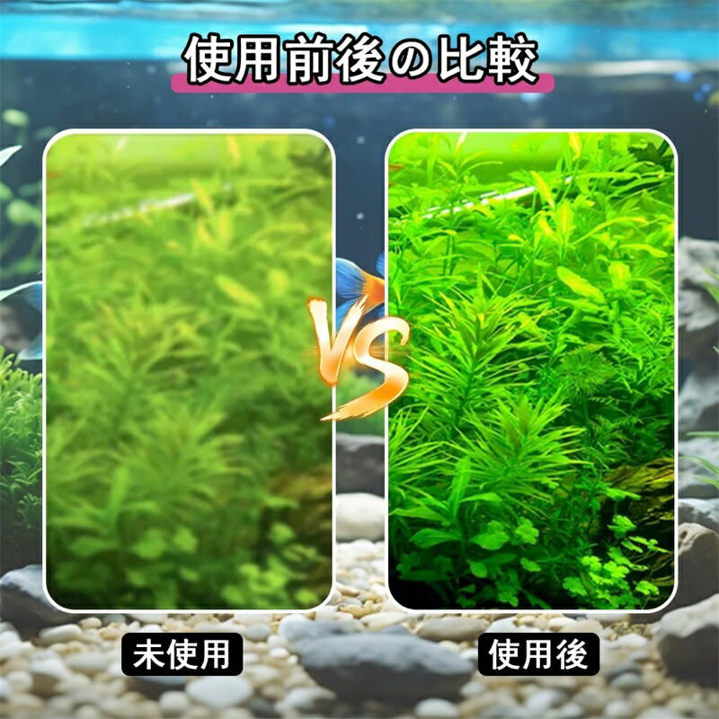 水槽用マグネットクリーナー ガラスクリーナー ガラス水槽対応 コケ取りブラシ 小型 強力磁石 両面スクレーパー 操作簡単 組み立て簡単 掃除ツール 強力清潔 魚タンク ガラス 藻類スクレーパー 3