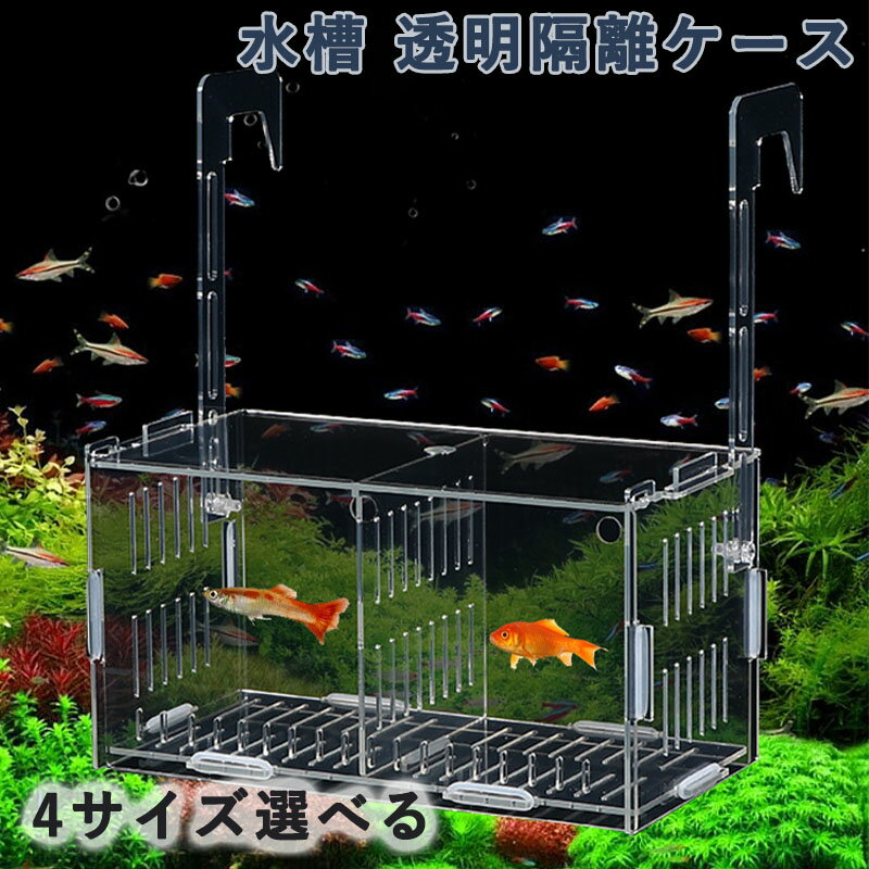 水温計　エヴァリス　きっちり計れる水温計　ミニ　関東当日便
