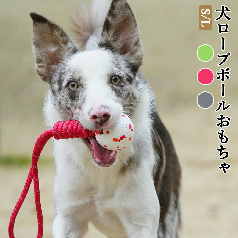 【高耐久E-TPU素材採用】柔らかい弾力性と優れた耐摩耗性を持つE-TPU素材を採用。噛む・引っ張る遊びにも対応し、毎日の遊びを長く楽しめます。 【水に浮くからアウトドアにも活躍】軽量で水に浮く設計。海・川・プールなどの水遊びにもおすすめ。愛犬とのアクティブな時間をサポートします。 【反射ライン付きで見つけやすい】ロープ部分には反射ラインを採用。夕方や暗い場所でも光を反射し、遊び終わった後も見つけやすいデザインです。 【投げる・引っ張る・噛む3WAY遊び】ボール遊びとロープ遊びを1つで楽しめる設計。「持ってこい遊び」や引っ張りっこなど、飼い主様とのコミュニケーションにも最適です。 【2サイズ展開・幅広い犬種に対応】ボールサイズは約6cmと約7.3cmの2種類。小型犬から中型犬、大型犬まで愛犬に合わせて選べます。