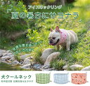 犬 夏 クールネック ネッククーラー 暑さ対策 熱中症対策 首 ひんやり 冷やす クールネック 超小型犬 小型犬 中型犬 大型犬 犬専用 犬散歩 犬お出かけ 日...