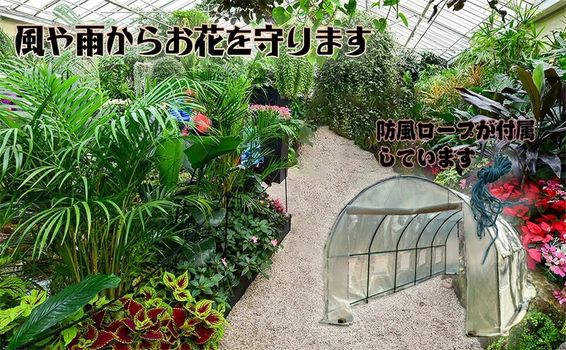 Rakuten - ビニール温室 ビニールハウス 大型家庭菜園温室 PE素材 ウォークインガーデン植物温室 多機能温室棚 果物と野菜の庭 植物園芸温室 防水 暖かくて通気性があり、付属品も付いています