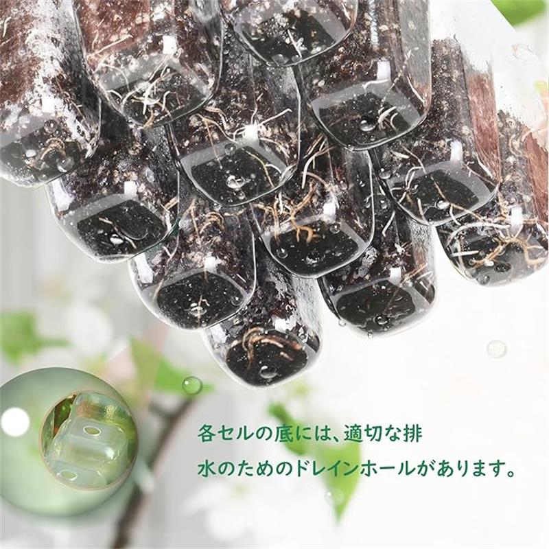 10個セット 育苗ポット トレー 育苗箱 12穴/6穴 種蒔きポット 芽育育苗器 透明カバー 通気性 園芸用品 野菜栽培 家庭菜園 2