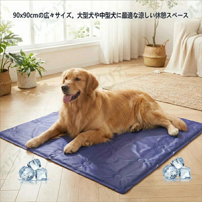 商品画像1