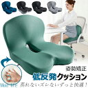蒸れないズレないずっと快適 椅子 クッション 腰痛対策 姿勢矯正 骨盤矯正 チェアクッション 低反発クッション 骨盤サポートチェア ランバーサポート 背もたれ ...