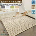 玄関マット 室内 屋外 ドアマット 泥落とし 柔らかい 風水 大判 50 60 80 90 100 120 140 160 180 ラグ ラグマット 泥除け 吸...